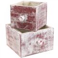 Floristik24 Pflanzkasten Shabby Chic Deko Schublade Rot Weiß 2er-Set