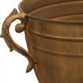 Pflanzkübel Rost Optik Pokalvase Metall Ø22,5cm H32,5cm | Floristik24.de
