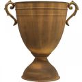 Pflanzkübel Rost Optik Pokalvase Metall Ø22,5cm H32,5cm | Floristik24.de