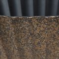 Pflanzschale mit Rillen oval Schiffchen Anthrazit Gold 36cm | Floristik24.de