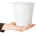 Pflanztopf mit Ornamenten, Übertopf, Metallgefäß Weiß Ø15,5cm H14,5cm | Floristik24.de