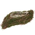 Floristik24 Pflanzwelle Reben Kleine Pflanzschale mit Moos 31×15×7cm