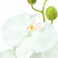 Orchidee Phalaenopsis künstlich Weiß 80cm