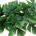 Philodendron Hänger Grün 85cm