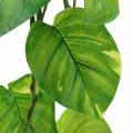 Floristik24 Philodendron Hänger künstlich 110cm