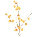 Floristik24 Lampionblume künstlich Physalis Zweig mit Blüten 95cm