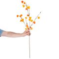 Lampionblume künstlich Physalis Zweig mit Blüten 95cm | Floristik24.de