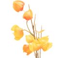 Lampionblume künstlich Physalis Zweig mit Blüten 95cm | Floristik24.de