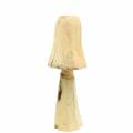 Floristik24 Pilz Kiefernholz Ø18cm H35cm