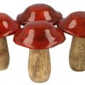 Floristik24 Pilz Mangoholz Rot Ø7cm Holzdeko Herbst H9cm 4St