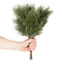 Kiefernzweig künstlich dekorativer Bund für Gestecke 39cm 6St | Floristik24.de