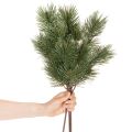 Kiefernzweig künstlich als dekorativer Tannenzweig 55cm 3St | Floristik24.de