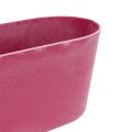 Floristik24 Plastikschale oval Pink 27cm x 11cm H10cm 1St