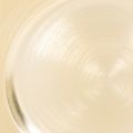 Teller Dekoration klein rund glänzend 17cm 6St | Floristik24.de