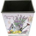 Floristik24 Pflanztopf Lavendelmotiv, Dekotopf eckig, Übertopf Kunststoff H13cm B13,5cm