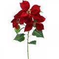 Floristik24 Künstlicher Weihnachtsstern Rot Stielblume 3 Blüten 85cm