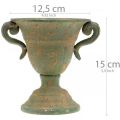 Floristik24 Metall-Amphore, Pflanz-Pokal, Kelch mit Henkeln Ø12,5cm H15cm