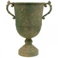 Floristik24 Metall-Kelch zum Bepflanzen, Pokal mit Henkeln, Pflanzgefäß Ø25cm H43cm