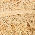 Naturbast Bündel Raffiabast für Floristik und Geschenkverpackung 1kg | Floristik24.de