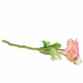 Floristik24 Ranunkel Blüte und Knospe künstlich Rosa 34cm
