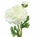 Floristik24 Kunstblume Ranunkel mit Blüte und Knospe Weiß H34cm