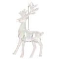 Rentier Anhänger aus Acryl für Weihnachtsbaum 14cm 4St | Floristik24.de