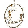 Floristik24 Frohe Weihnachten Schriftzug Dekoring Rost Ø19cm 2St