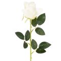 Floristik24 Kunstblume Rose Langer Stiel für Vase 62cm 12St