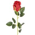 Floristik24 Künstliche Rose mit langem Stiel Rote Kunstblume 62cm 12St