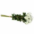 Floristik24 Rose Weiß 42cm 12St