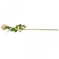 Rose Cremefarben, Seidenblume, künstliche Rose L74cm Ø7cm