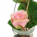 Rose im Glas Rosa H23cm