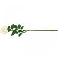 Floristik24 Seidenblume, Rose am Stiel, Kunstpflanze Cremeweiß, Rosa L72cm Ø13cm