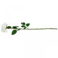 Weiße Rose, Kunst-Rose am Stiel, Seidenblume, künstliche Rose L72cm Ø13cm
