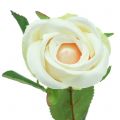 Floristik24 Rose künstlich Crème 44cm 6St