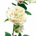 Floristik24 Romantische Rosen-Girlande, Seidenblume, künstliche Rosenranke 160cm
