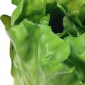 Floristik24 Salatkopf Grün Deko Salat Lebensmittelattrappen 14cm