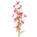 Floristik24 Künstlicher Blütenzweig Oncidium Orchideen Dekoration 112cm 3St