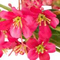 Künstlicher Blütenzweig Oncidium Orchideen Dekoration 112cm 3St | Floristik24.de