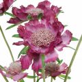 Floristik24 Skabiose Kunstblume Pink Sommerblume H64cm Bund à 3St