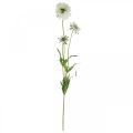 Floristik24 Skabiose Kunstblume Weiß Gartenblume H64cm Bund mit 3St