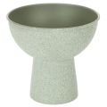 Floristik24 Pflanzschale auf hohem Fuß modern rund 18cm