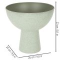 Schale mit Standfuß für Pflanzen Dekoschale 25cm | Floristik24.de