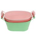 Floristik24 Schale oval 19,5cm x 12cm H9,5cm Pastell Mix 3St