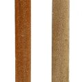 Schilfkolben Mix Natur Deko Schilf 70cm 100 St | Floristik24.de