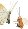 Schmetterling, Biene Deko am Clip 4cm - 8cm 9St