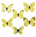 Floristik24 Schmetterling Gelb am Clip 11cm 6St