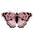 Floristik24 Schmetterling Rosa 20cm am Draht 2St