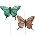 Floristik24 Deko-Schmetterlinge, Frühlingsdeko, Federschmetterlinge, Pflanzenstecker Grün, Braun 9,5×12,5cm 12St