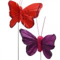 Frühling, Federschmetterlinge mit Glimmer, Deko-Schmetterling Rot, Orange, Pink, Violett 4×6,5cm 24St